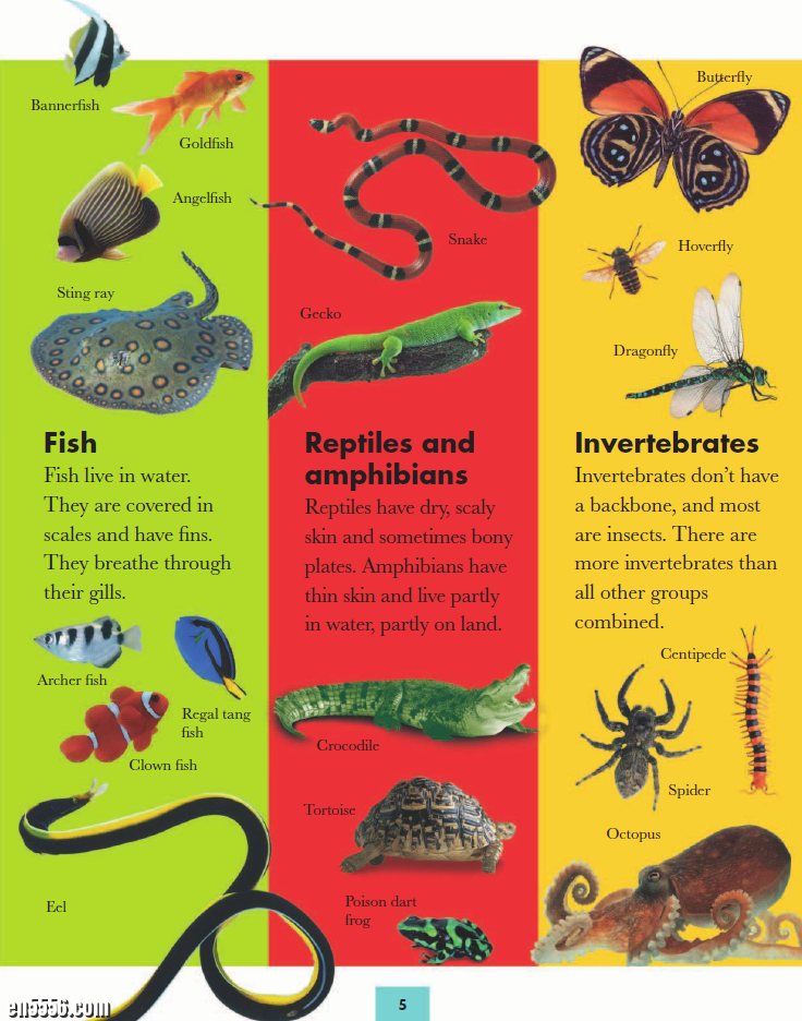 DK系列: 动物和我 Animals and Me by DK Publishing9681 作者:lj007008 帖子ID:257480 