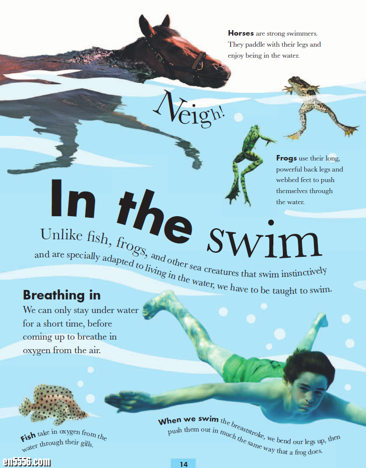 DK系列: 动物和我 Animals and Me by DK Publishing3585 作者:lj007008 帖子ID:257480 