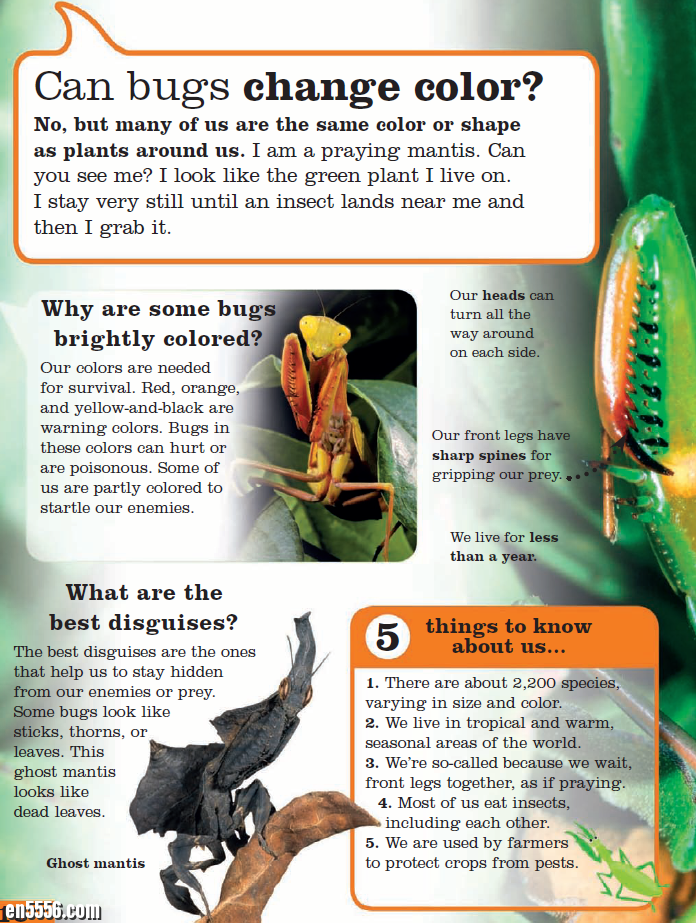 Ask a Bug by DK Publishing 问问虫子 DK出版社2931 作者:lj007008 帖子ID:257481 