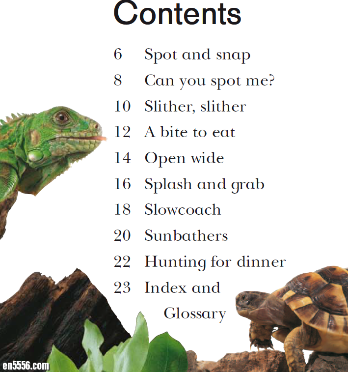 Reptiles (Look Closer) 22页 by DK Publishing出版社3858 作者:lj007008 帖子ID:257485 