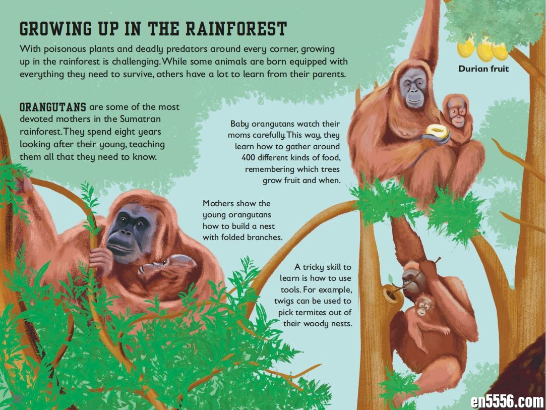 DK最新版2021 The Rainforest Book 百度云网盘5091 作者:wx_7b75ceca4b 帖子ID:258725 