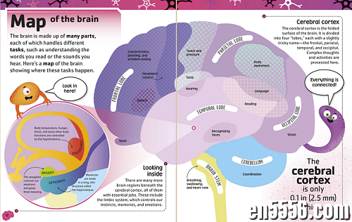 [英语阅读] DK 原版图书The_Brain_Book（2021年5月） 百度云网盘下载3258 作者:ttian2007 帖子ID:258799 