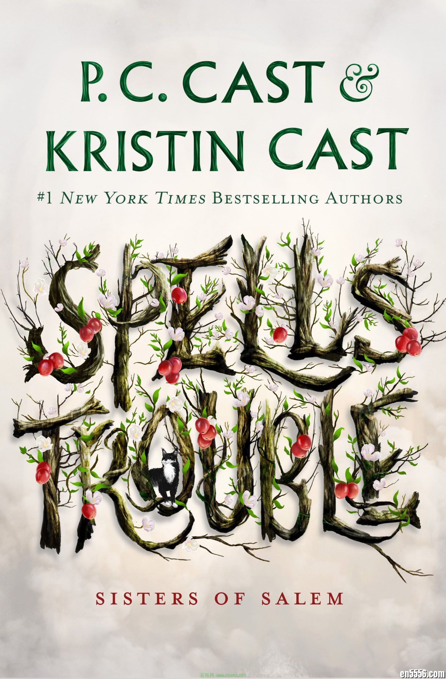 Spells Trouble: Sisters of Salem (Sisters of Salem) - P. C. Cast 电子书mobi+epub 百度云4361 作者:沁月紫寒 帖子ID:260478 