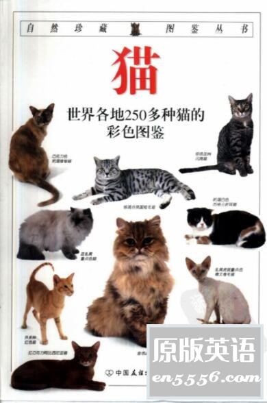 [DK自然珍藏图鉴丛书][百度云盘下载][PDF][22本书/共2.02G]359 作者:林间有新绿 帖子ID:261243 