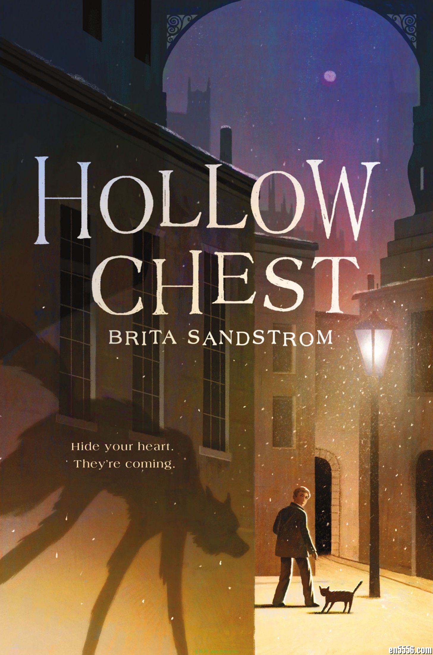 章节书 Hollow Chest - Brita Sandstrom 电子书mobi+epub5936 作者:沐雨昔年 帖子ID:261630 