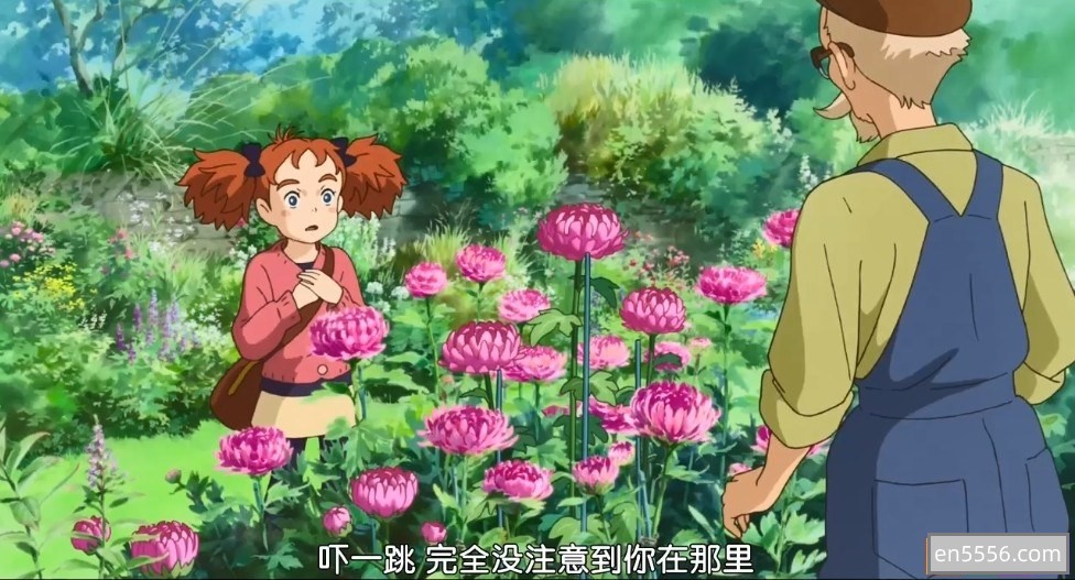 [玛丽与魔女之花][百度云网盘/BT下载][2017][日语/台配/国配/英语][英配字幕][2.65GB/1080P]8376 作者:维他命 帖子ID:261724 