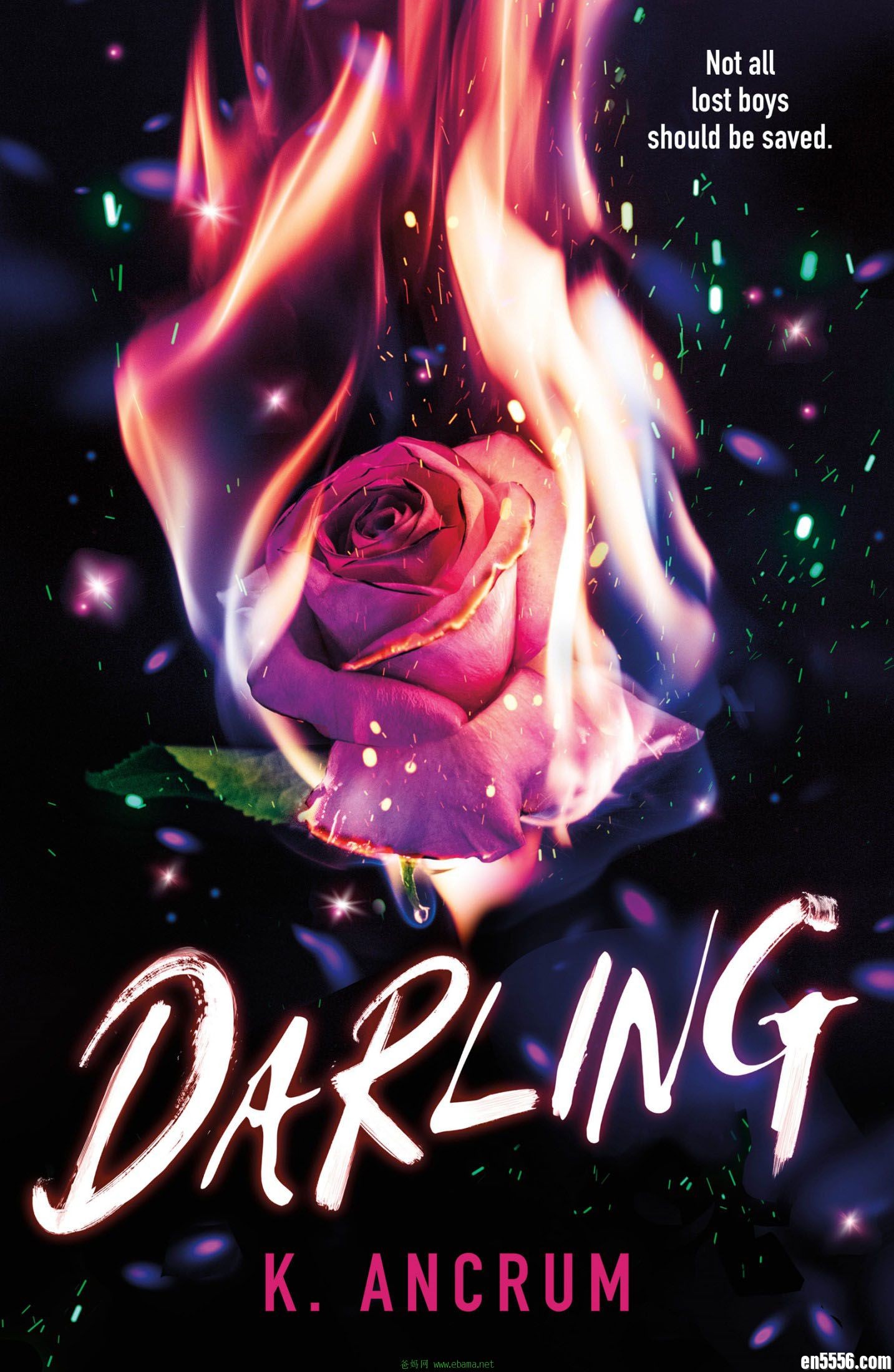 章节书 Darling - K. Ancrum 电子书mobi+epub1773 作者:维他命 帖子ID:261903 