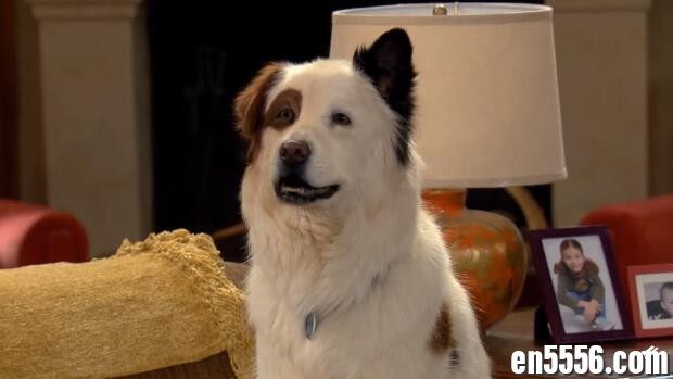 Dog With A Blog 狗狗博客 第3季全 第1-23集 1080P 内置英文字幕1675 作者:维他命 帖子ID:261931 