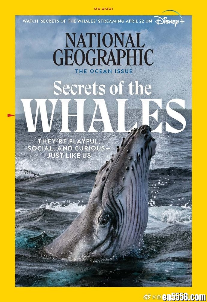 National Geographic - USA+UK 2021年1-7月刊 美国国家地理(美国+英国版)杂志129 作者:维他命 帖子ID:262021 