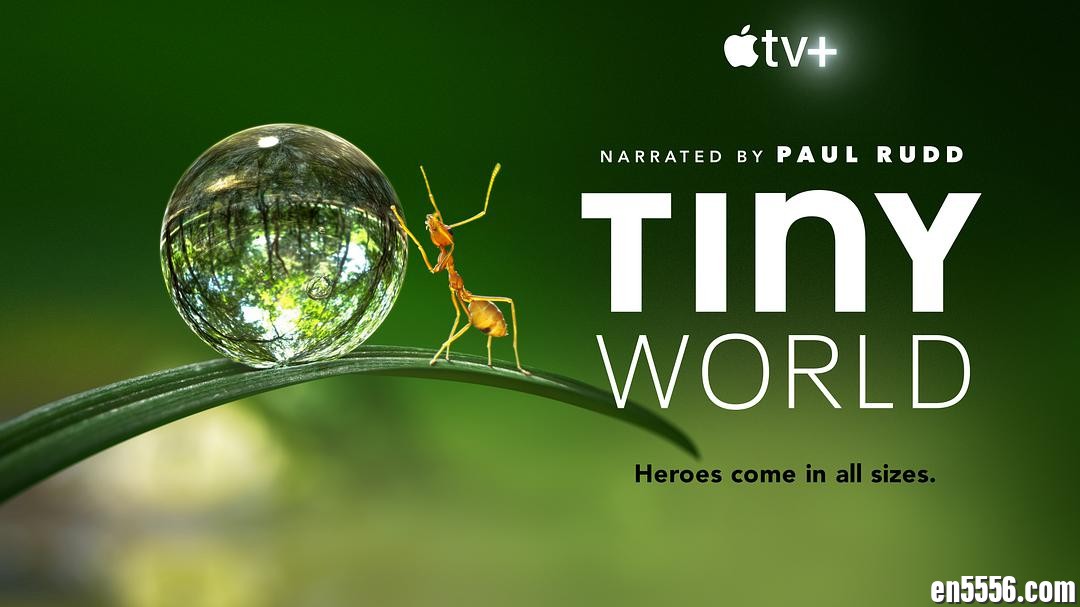 Tiny World 你不知道的小小世界 第1季全 第1-6集 1080P蓝光 内置多国语言字幕 (包括中文英文)百度云网盘1731 作者:维他命 帖子ID:262095 