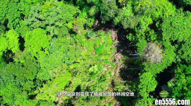 Tiny World 你不知道的小小世界 第1季全 第1-6集 1080P蓝光 内置多国语言字幕 (包括中文英文)百度云网盘5181 作者:维他命 帖子ID:262095 