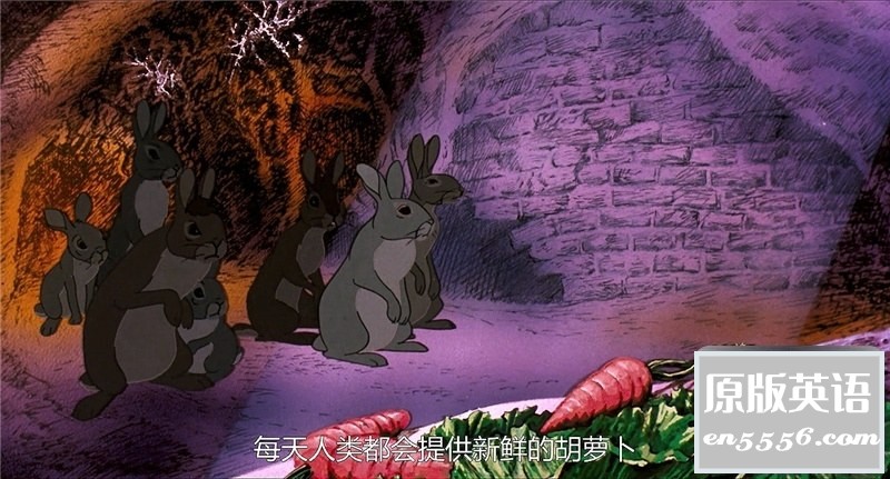 [沃特希普高地/兔子共和国][百度云网盘下载][1978][英语中字][BD-MKV/2G][720P]3604 作者:枝繁叶茂 帖子ID:262277 