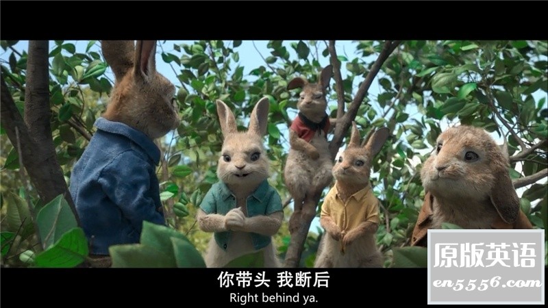 [比得兔][第1部+第2部][百度云网盘下载][国粤台英语.特效中英双字][BD-MP4/4.9GB][720P/1080P]3397 作者:沉睡月亮 帖子ID:262869 