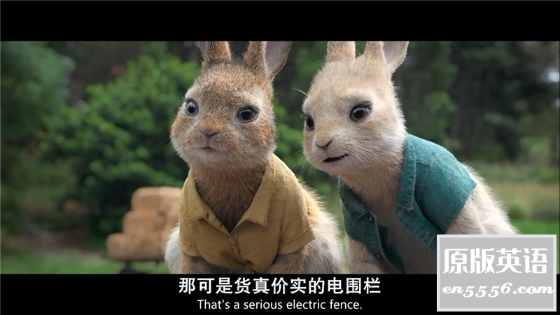[比得兔][第1部+第2部][百度云网盘下载][国粤台英语.特效中英双字][BD-MP4/4.9GB][720P/1080P]7485 作者:沉睡月亮 帖子ID:262869 