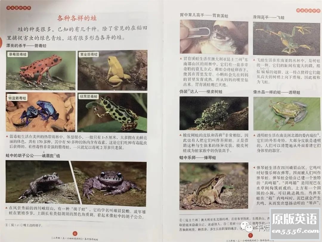 《绘本课堂》1-6年级PDF资料全集下载6082 作者:wx_a15554e013 帖子ID:262947 