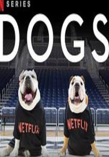 爱犬情深第二季 纪录片 中文字幕 720P5521 作者:怕黑不来 帖子ID:263335 