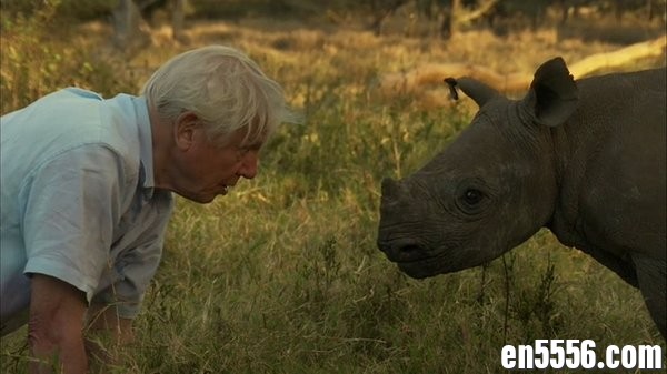 BBC纪录片-《非洲》6集全  720P  中英双字2265 作者:joyous 帖子ID:264711 