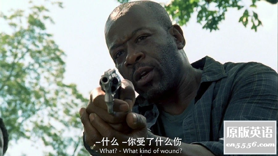 [行尸走肉 1-11季全][迅雷云网盘][英语/中英双字幕][1080P]6681 作者:羽化尘 帖子ID:265335 