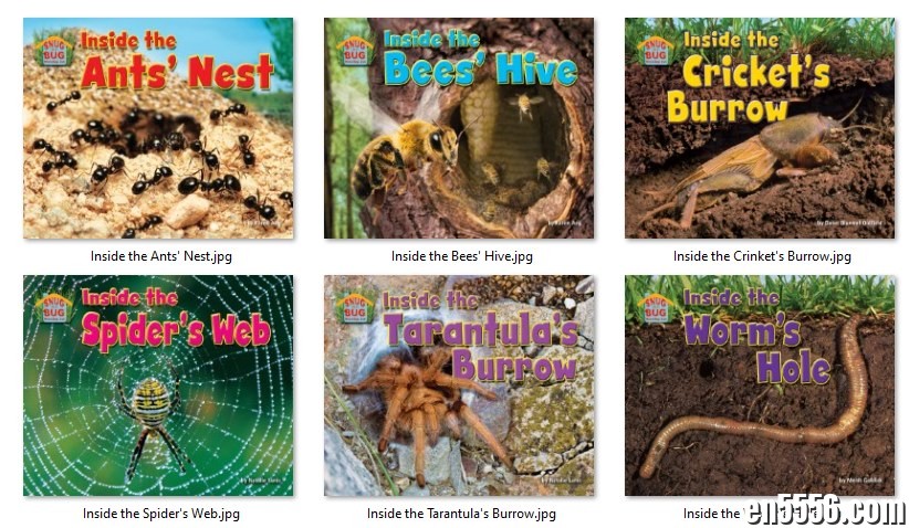 Animals Inside (6 ebooks)7520 作者:doctoran222 帖子ID:265695 