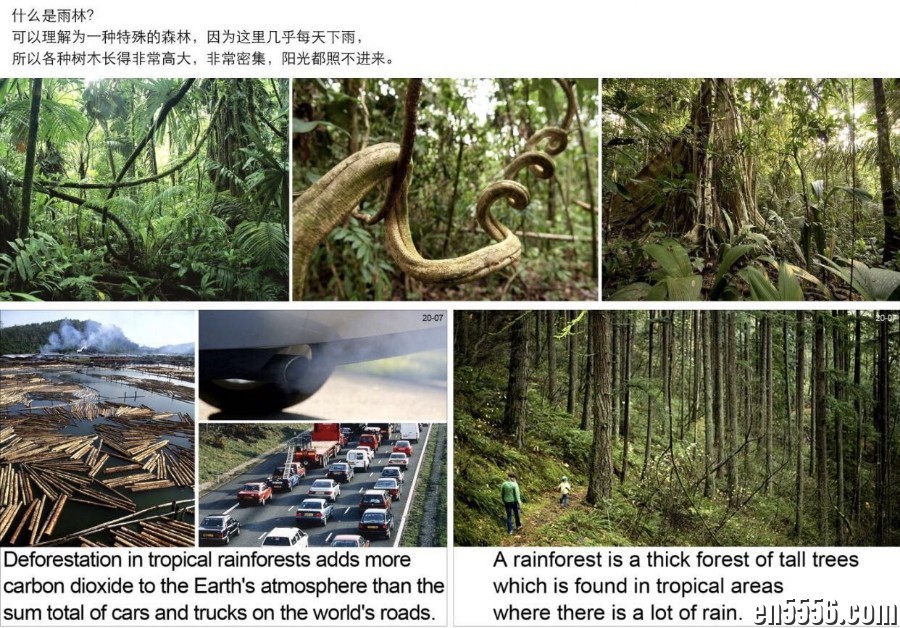 DK幼儿百科全书 那些重要的事 视频avi格式3575 作者:wx_589faae0e4 帖子ID:265909 