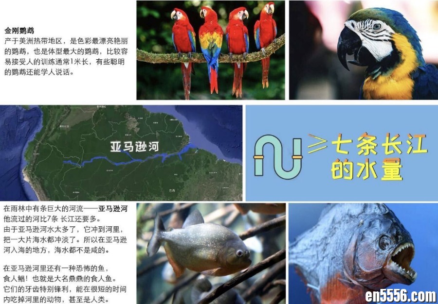 DK幼儿百科全书 那些重要的事 视频avi格式3329 作者:wx_589faae0e4 帖子ID:265909 