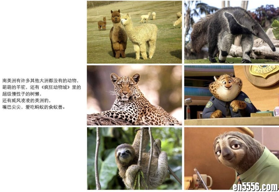 DK幼儿百科全书 那些重要的事 视频avi格式4892 作者:wx_589faae0e4 帖子ID:265909 
