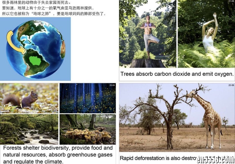 DK幼儿百科全书 那些重要的事 视频avi格式5897 作者:wx_589faae0e4 帖子ID:265909 