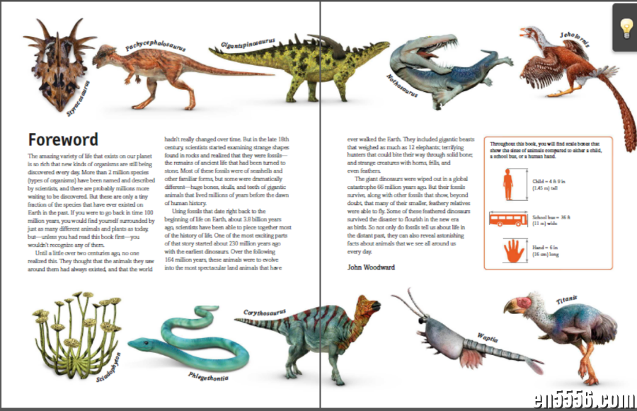 DK系列 the dinosaur book 介绍恐龙的百科全书5101 作者:taxuefeihong 帖子ID:266890 