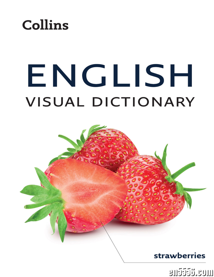 English Visual Dictionary 柯林斯英语视觉词典 英文高清原版图解词典5328 作者:wx_31bd830c82 帖子ID:266909 