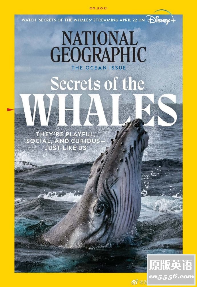 National Geographic - USA+UK - 2021年1-12月刊 - 美国国家地理(美国+英国版)杂志5867 作者:那年夏天 帖子ID:267462 