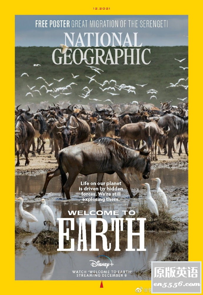 National Geographic - USA+UK - 2021年1-12月刊 - 美国国家地理(美国+英国版)杂志9900 作者:那年夏天 帖子ID:267462 