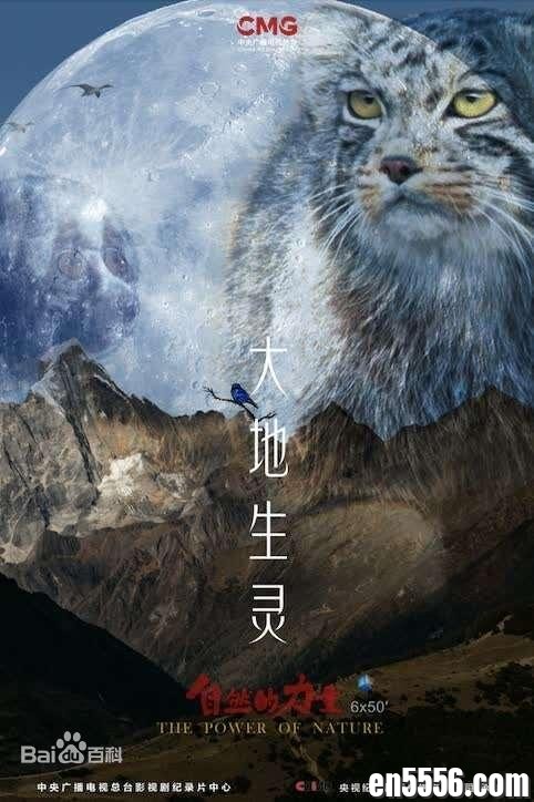 【寒假必看】《自然的力量·大地生灵》[超清版]，共6集。让小孩了解中国！！！1276 作者:火狐狸 帖子ID:268790 