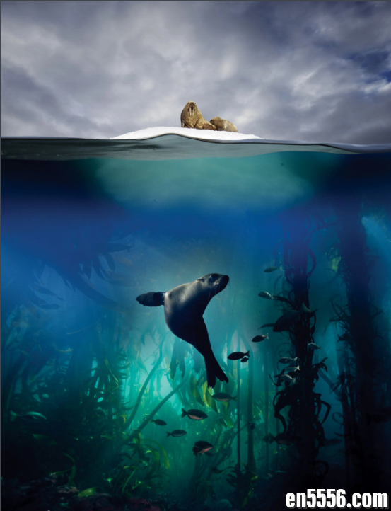 The Blue Planet 蓝色星球 第2季 1080p高清 中英文字幕3320 作者:wx_e5ac3aa1ac 帖子ID:268843 