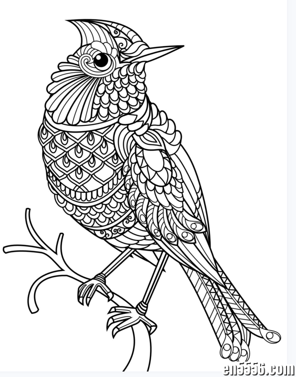 手工书|PDF】终极图案英文图画《动物涂画书 Ultimate Coloring：Animal Coloring》3325 作者:wx_e5ac3aa1ac 帖子ID:268846 