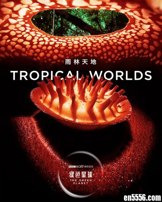 BBC英语原版纪录片《绿色星球》全5集 4K画质 英文原声 中英字幕2259 作者:wx_5b98573709 帖子ID:269246 