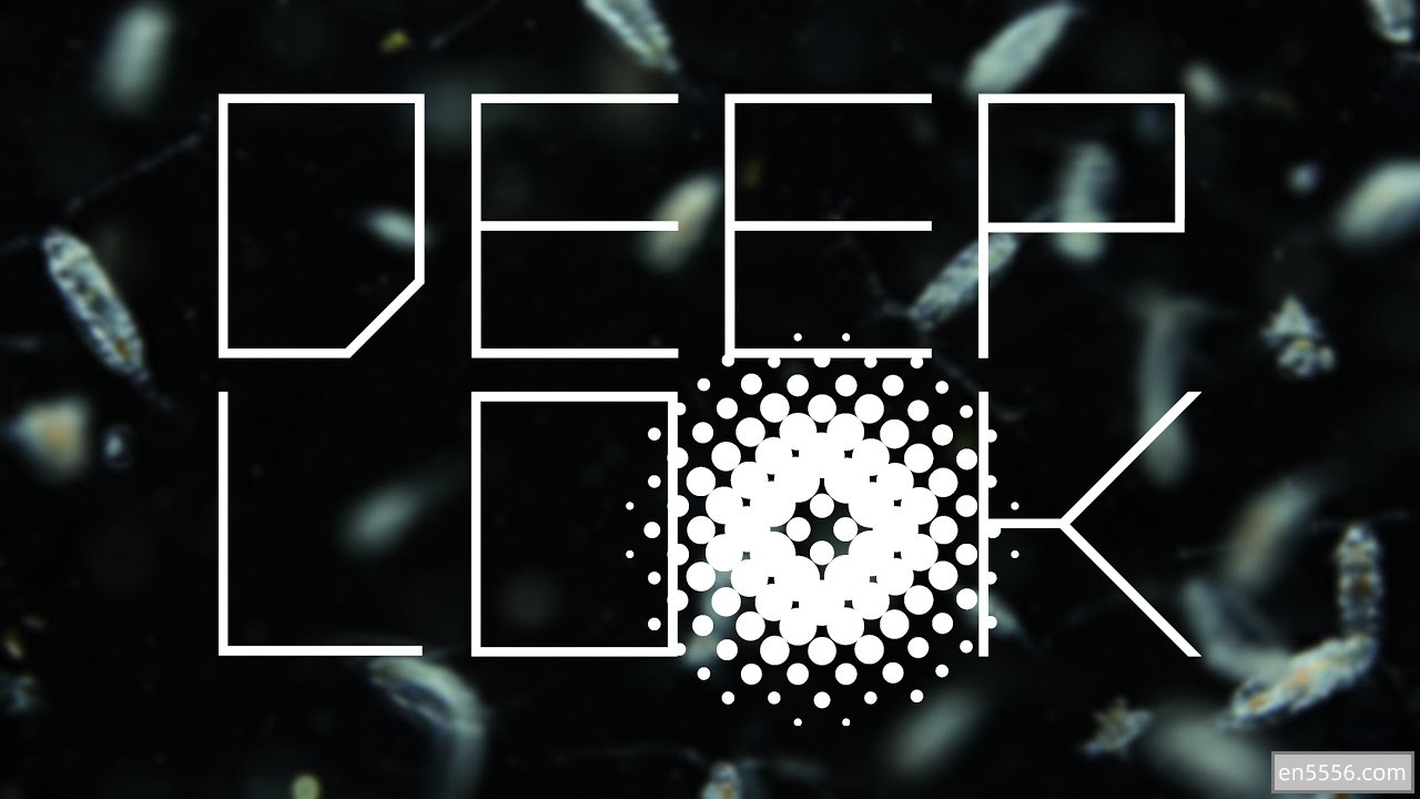 Deep Look 科学短视频 含英文字幕 精选100集 高清近距观察惊奇的生物世界1076 作者:wx_fdccc7be60 帖子ID:269820 