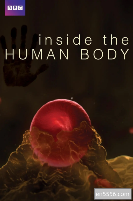 人体探秘Inside The Human Body 国英双语 全4集 1080P 百度云2367 作者:airpotato 帖子ID:269827 