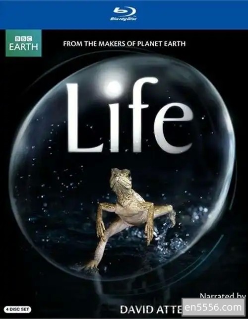 [BBC/Life  生命系列 共10集][迅雷云盘][BD-MKV/61G][英语中字][1080P]4137 作者:会飞的鸟 帖子ID:270317 