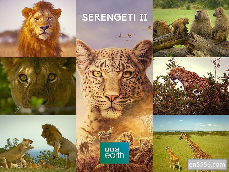 BBC最新倾力巨著《SERENGETI  2 神奇的塞伦盖蒂大草原》【蓝光碟转超高清1080p】3302 作者:会飞的鸟 帖子ID:270325 