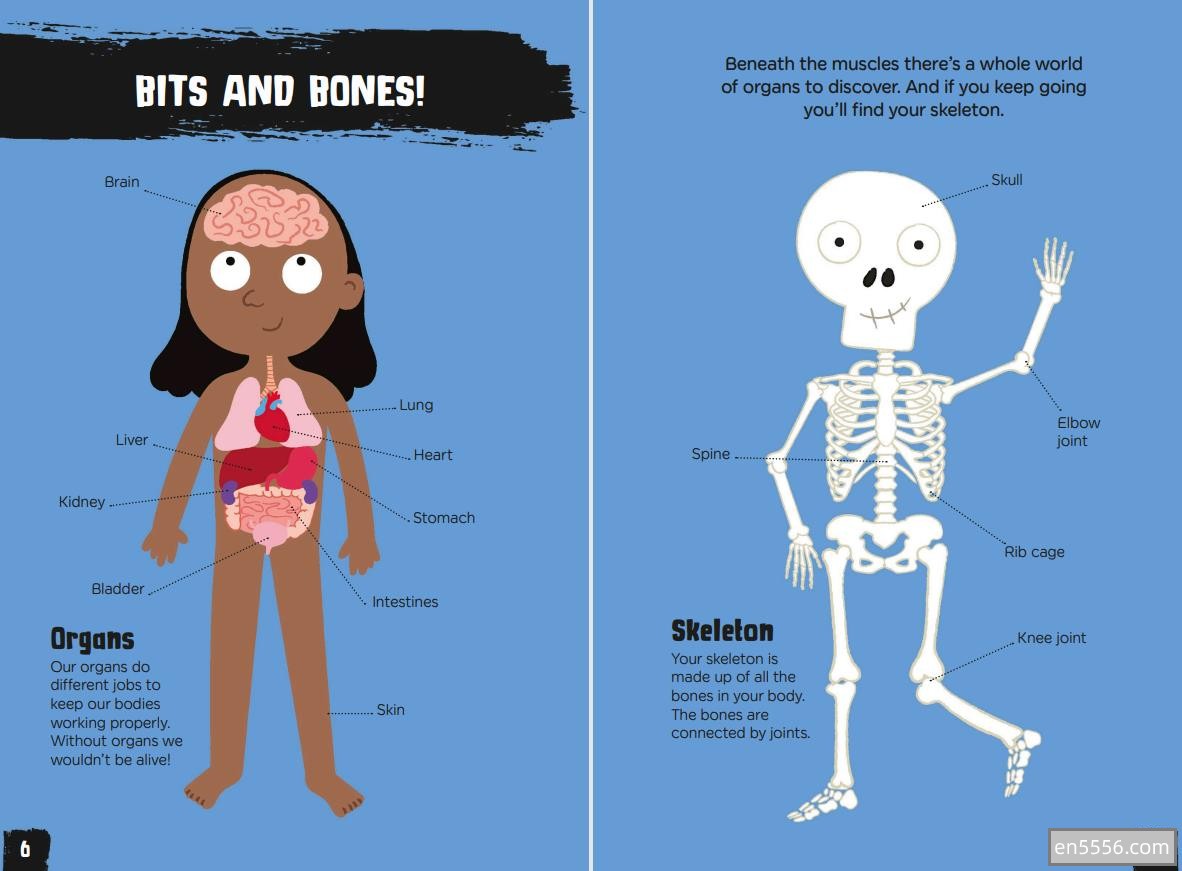Gross and Ghastly: Human Body令人毛骨悚然的人体DK精品英文绘本，130页高清PDF2724 作者:xiaomama 帖子ID:270329 