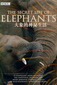 [BBC-大象的神秘生活][2009][MKV][国语中字][720P][2.32G]193 作者:ayu120 帖子ID:270564 
