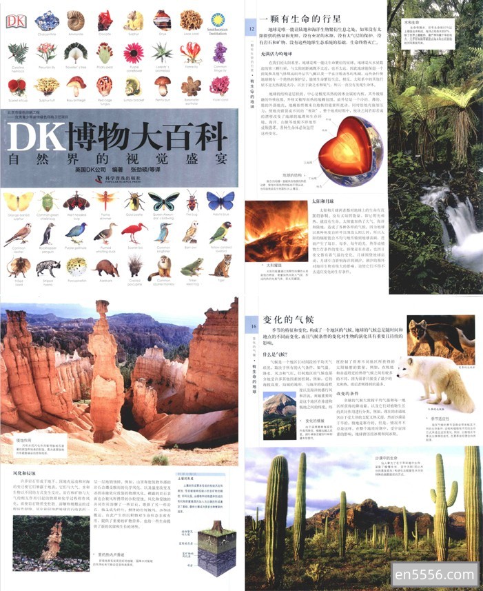DK出版的6本书籍：《DK历史百科》、《DK博物大百科》、《DK福尔摩斯百科》、《DK电影百科》、《DK动物生活大百科》全彩PDF！3615 作者:hellovickey 帖子ID:270590 
