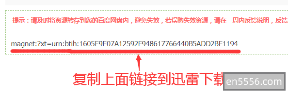 BT种子、电驴和磁力链资源使用迅雷下载教程2579 作者:sky 帖子ID:270722 