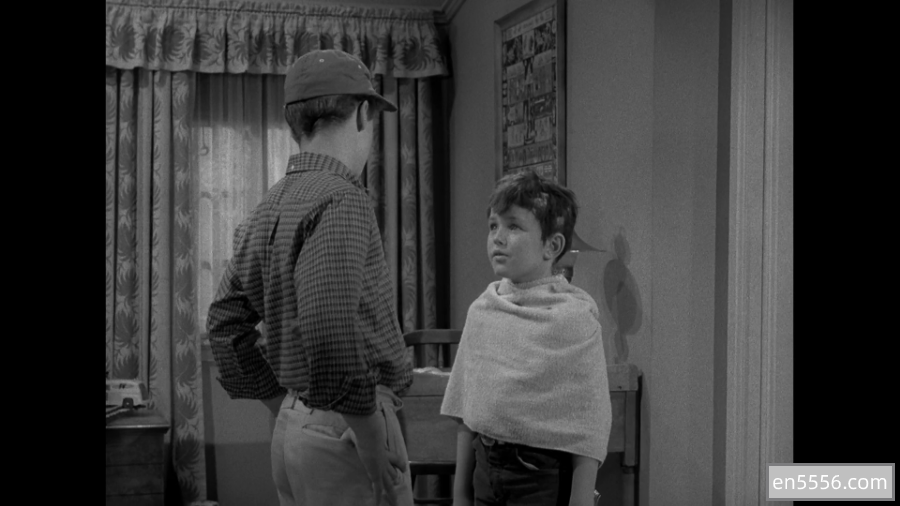 [阿里云] Leave It to Beaver 1080p 第1季 (1957) 天才小麻烦第一季 +49G8153 作者:bodhixiaoyao 帖子ID:270780 