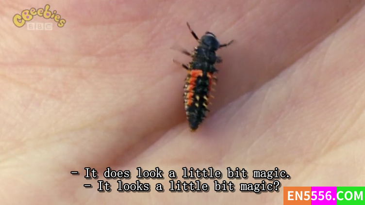 Minibeast Adventure with Jess 杰西的迷你野兽探险 共20集 480P 外挂英语字幕7248 作者:ding0534 帖子ID:272117 
