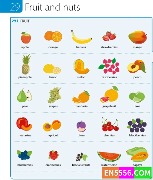 DK图解英文词典 《English Vocabulary Builder》1731 作者:小西瓜呀 帖子ID:272486 