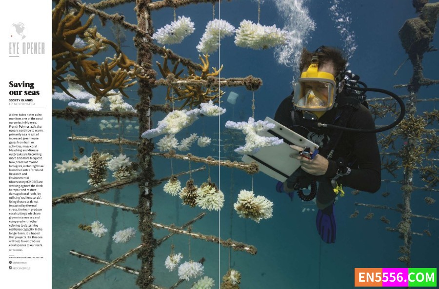 BBC science focus , BBC 科学聚焦杂志2021回顾 2辑9048 作者:wx_f227a40e32 帖子ID:272578 