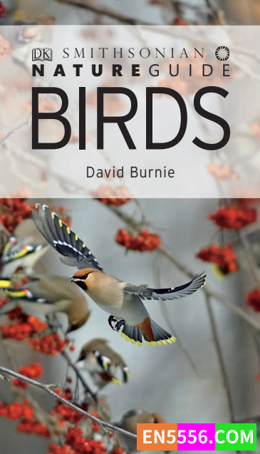 DK高清彩色PDF-nature guide birds   2012年 儿童喜欢的有关鸟的读物3069 作者:jzp 帖子ID:272995 