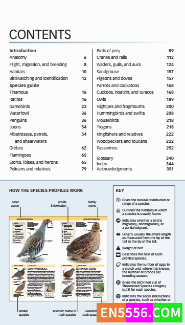 DK高清彩色PDF-nature guide birds   2012年 儿童喜欢的有关鸟的读物7367 作者:jzp 帖子ID:272995 