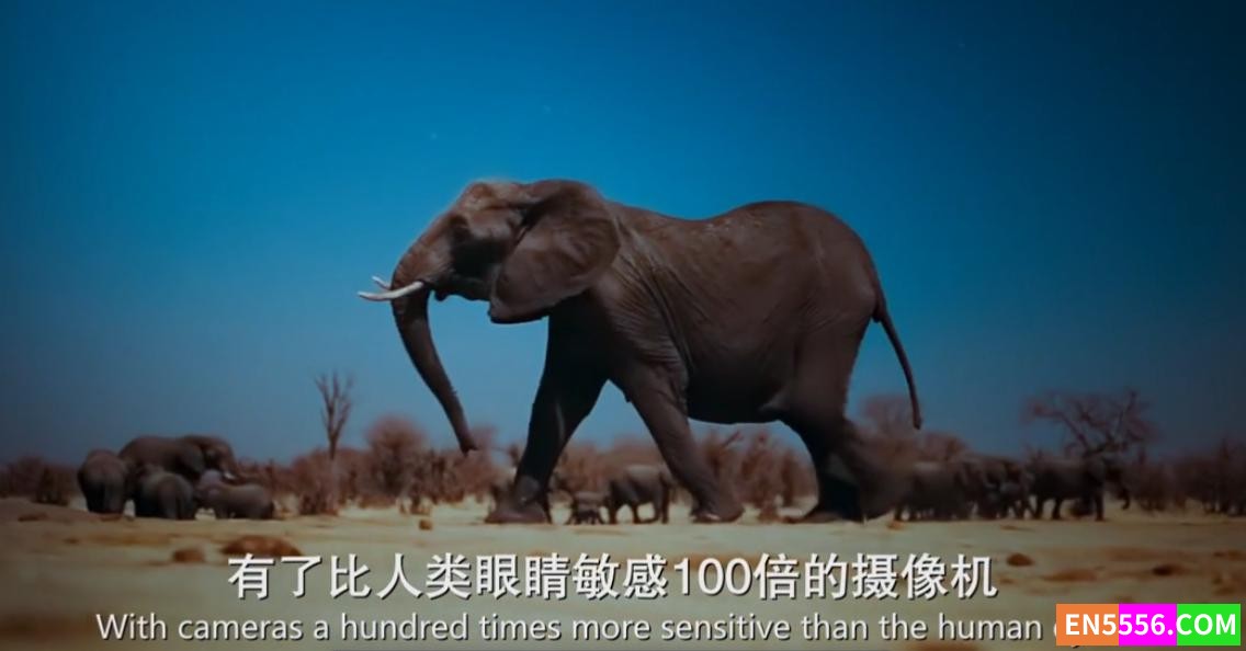 BBC夜色中的地球 第一季 Earth at Night in Color Season 1 中英双语字幕1080P6900 作者:lc841030 帖子ID:273286 
